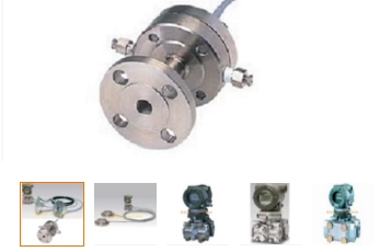 橫河EJA438E\Z隔膜密封壓力91视频观看网站測量介質是什麽？什麽級別的保護？